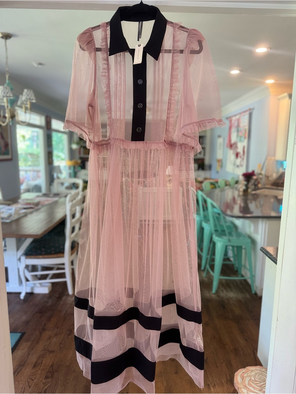 Anthropologie Sheer Pink Tulle Dress with Black Trim